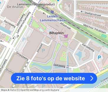 Omegaplantsoen 37 - Foto 1