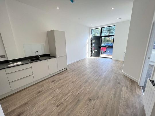 1 bedroom ground floor flat to rent - Photo 1