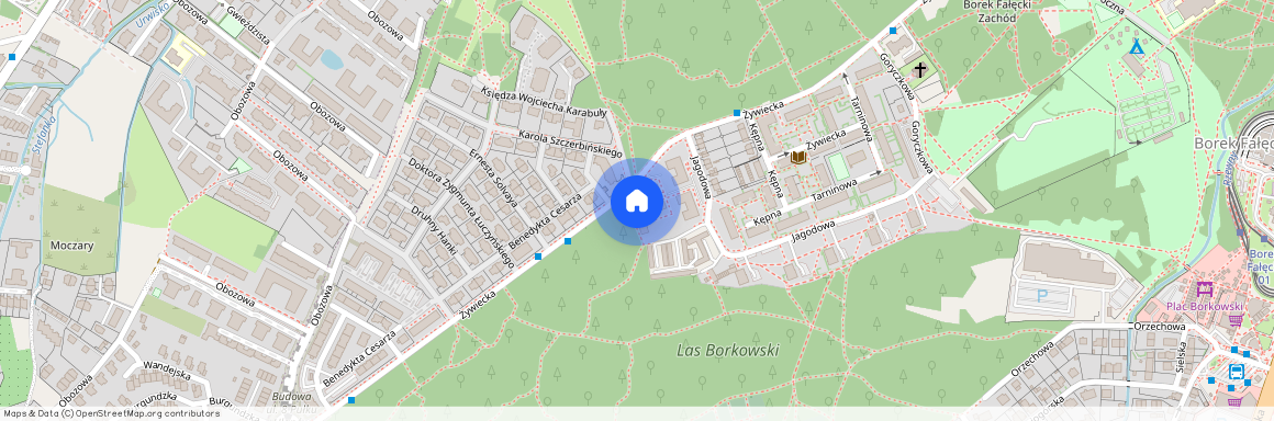 ul. Żywiecka 56, Borek Fałęcki, Łagiewniki-Borek Fałęcki, Kraków, małopolskie