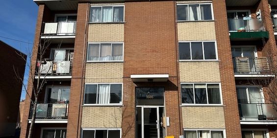 Longueuil Grand 4 1/2, Rénové - Photo 3