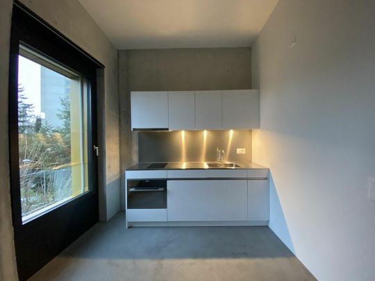 1 Zimmer Wohnung - Photo 1