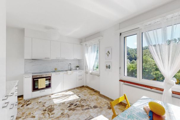 Affittiamo 3.5 locali, all'ultimo piano con vista - Photo 1