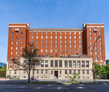 Appartement à louer, Montréal (Ville-Marie) - Photo 1
