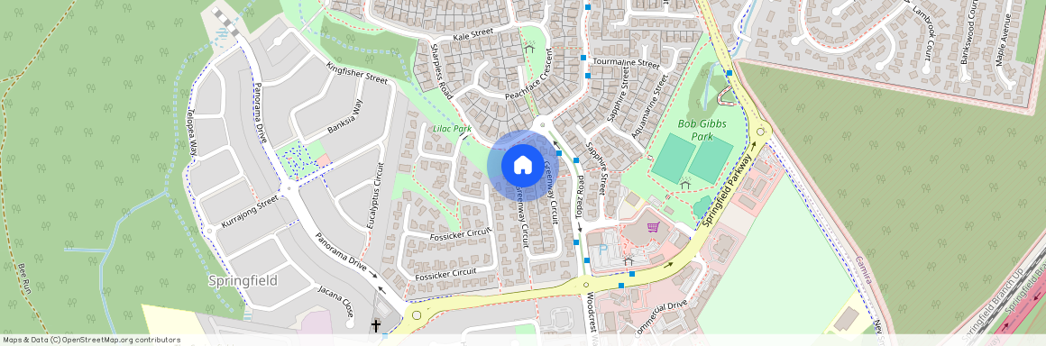 4 Greenway Cct, Springfield QLD 4300