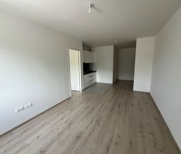 Location Appartement 2 pièces 43m² - Photo 2