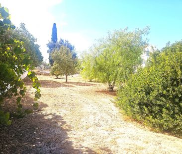 Moradia T3 em Faro - Photo 6