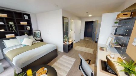 Platinum Studio Plus - Photo 4