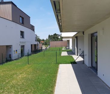 SCHEIBBS XXI/3 - Photo 6