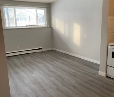 Sorrento Manor - Photo 5