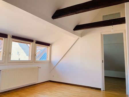 location Appartement 3 pièces à Colmar - REF 197-18IB - Photo 4