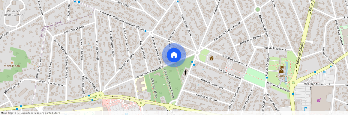 STE GENEVIEVE DES BOIS 91700