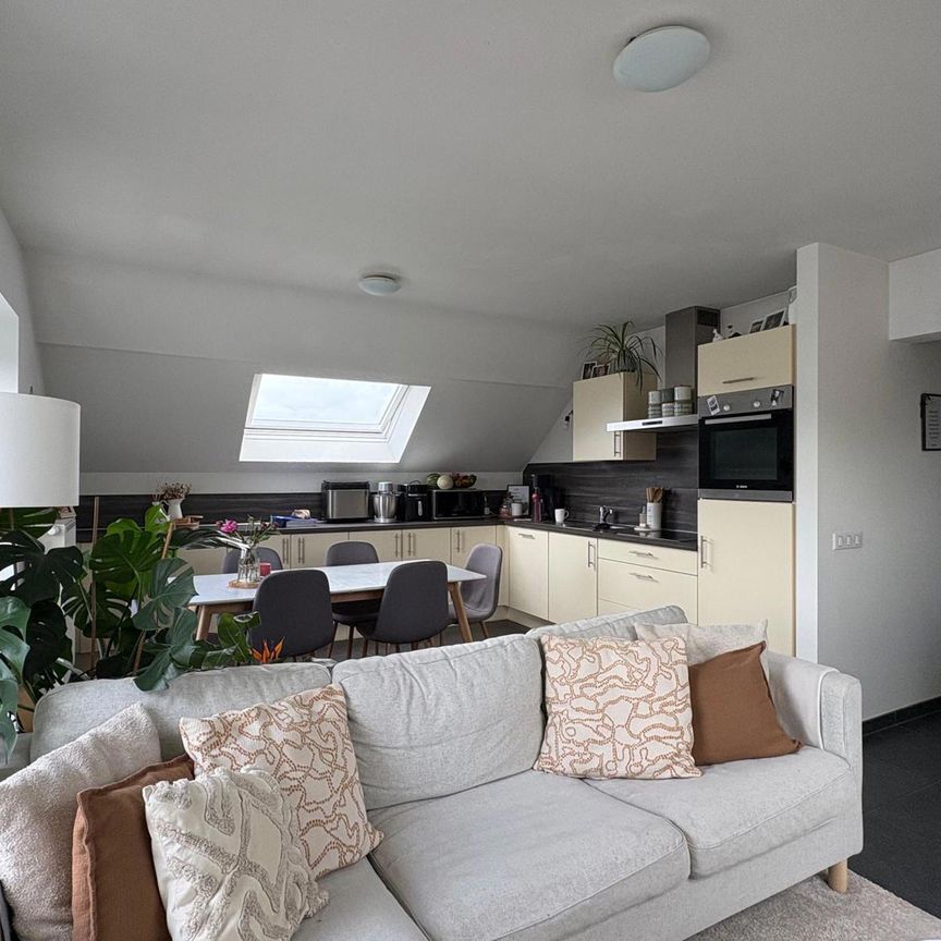 Appartement - à louer - 520 € 6920 LOMPREZ - Photo 1