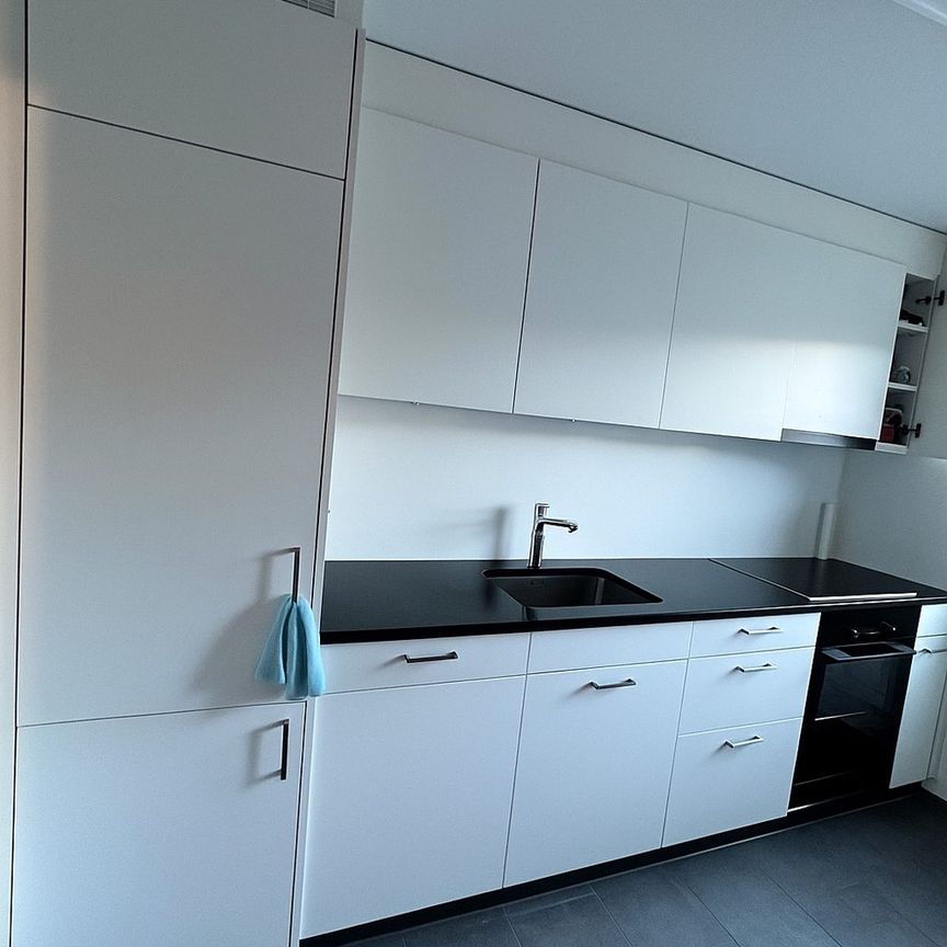 Rent a 3 ½ rooms apartment in Kriens - Photo 1