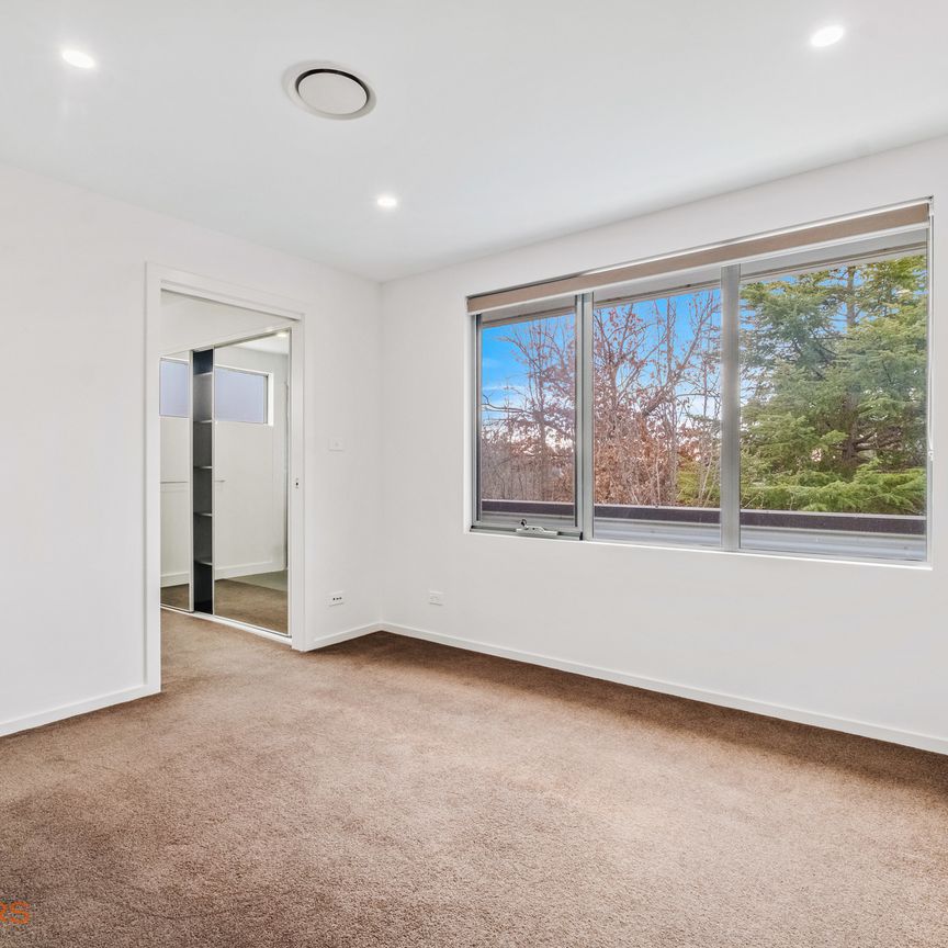 1/56 Stuart Street, Griffith ACT 2603 - Townhouse For Rent | Domain - Photo 1