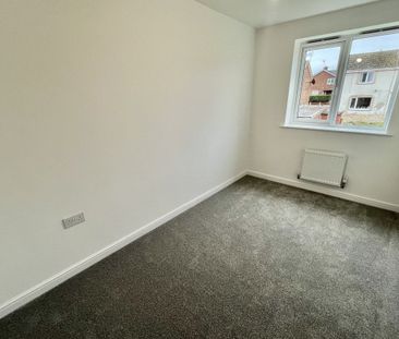 Swan Lane - Photo 5