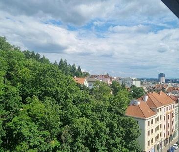 Pronájem bytu 1+kk 32 m² - Fotografie 2