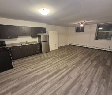 For Lease - 27 Bridge Street Unit# 107, Brantford, Ontario - Photo 5