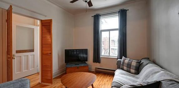 Beau 5½ lumineux au 2e étage – Rosemont / La Petite-Patrie - Photo 2