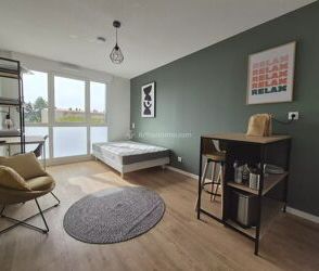 Location Appartement 1 pièces 20 m2 à Albi - Photo 5