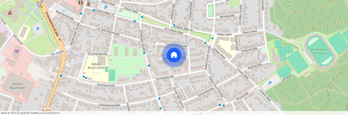 Semmelweisstraße, 66424 Saarland - Homburg