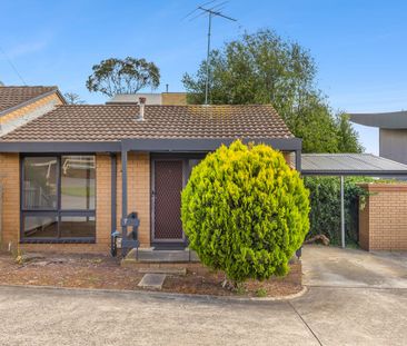 Recently Refreshed in the Heart of Belmont - Photo 6