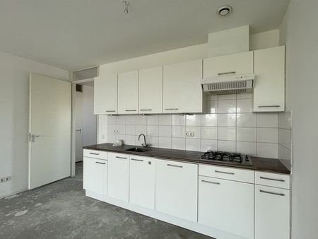 Te huur: Appartement IJsvogelpassage in Nijmegen - Photo 5