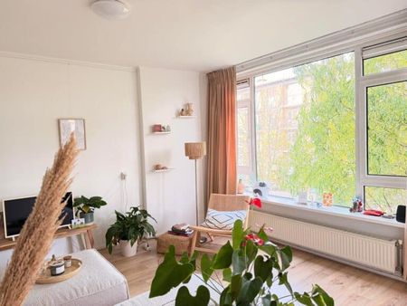 Tolsteegplantsoen 41 1 - Photo 3