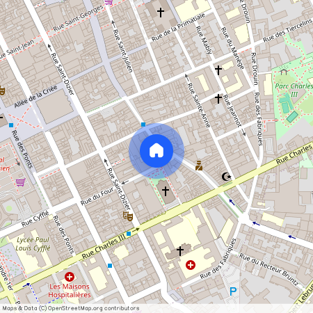 17 RUE DU GENERAL DROUOT, Gambetta Carmes Faiencerie, Nancy