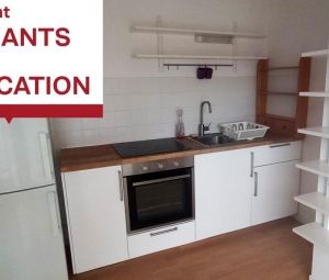 Location Appartement à ST MARTIN D HERES - Photo 4