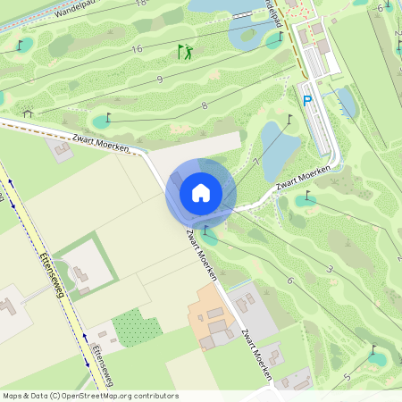 Zwart Moerken 8, Verspreide huizen in het Westen, 4891TK, Rijsbergen