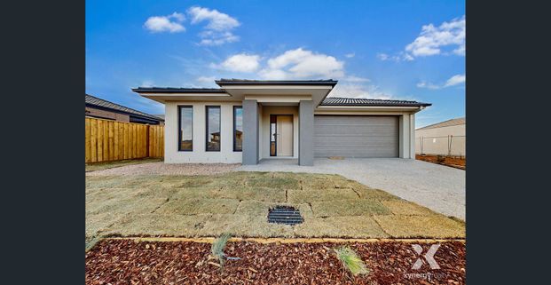 Modern Family Living in a Sought-After Fraser Rise Pocket - Photo 1