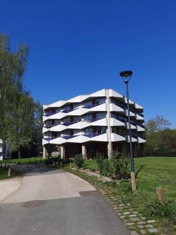 Appartement T1 à louer Pont Pean - 36 m² - Photo 5