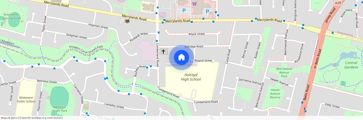 17/1 Roland Street, NSW 2145, Greystanes