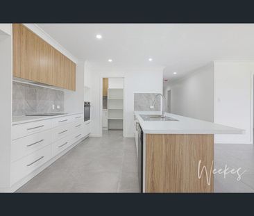 17 Wilson Street, Kepnock, Qld 4670 - Photo 5