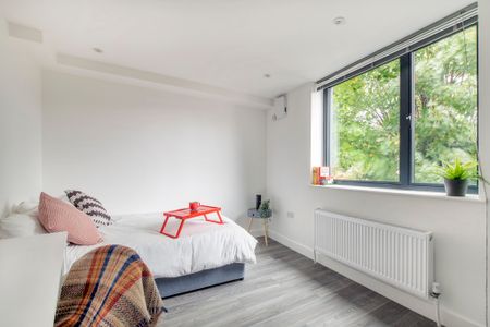 1 Bedroom Shared House - Photo 4