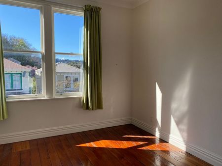 Sunny renovated Aro Valley home - Photo 2