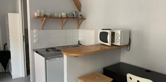 Location Appartement 1 pièce 18m² RENNES 35000 - Photo 2