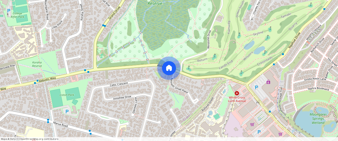 1/165 Abbotts Way, Remuera, Auckland City