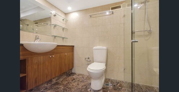 SOPHISTICATED WOOLLOOMOOLOO RESIDENCE WITH STUNNING PARK & CATHERDRAL VIEW - Photo 1