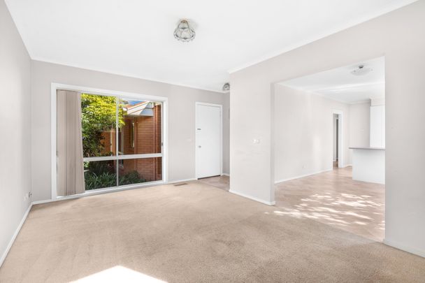 LEAFY HOME WITH LOADS OF NATURAL LIGHT - Photo 1