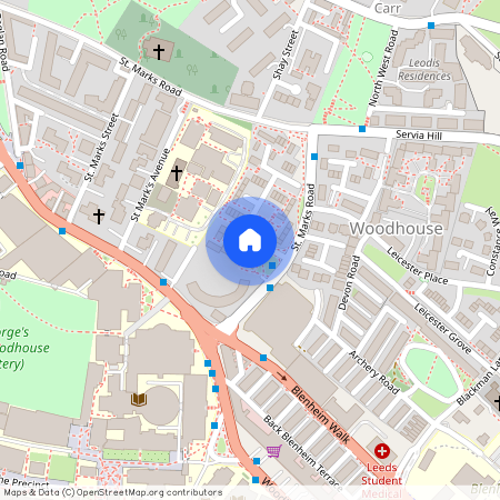 7 Blenheim View, Woodhouse LS2