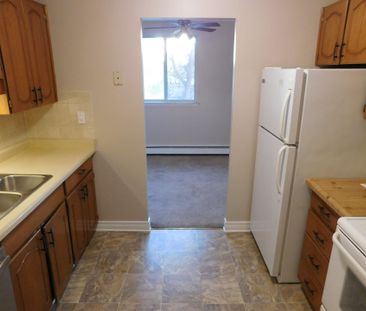 For Lease - 440 Central Avenue Unit# 205, London East, Ontario - Photo 2