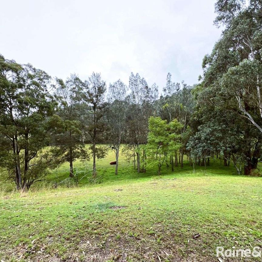 1656 Maitland Vane Road, Lambs Valley, NSW 2335 - Photo 1