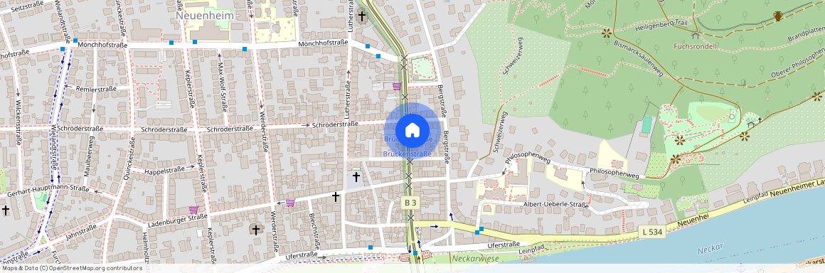 Brückstraße 28, 69120 Baden-Württemberg - Heidelberg