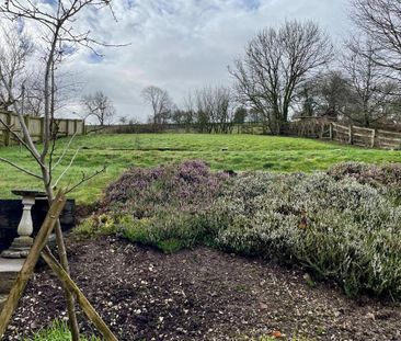 3 bedroom detached bungalow to rent - Photo 6