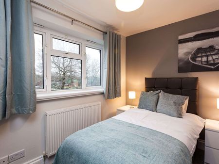 The Birches Room 3 - Photo 3