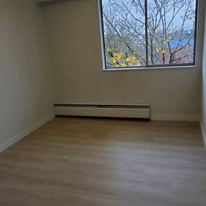 $300 Move-in Bonus - 1-Bedroom Apartment-Newly Renovated: - Photo 2