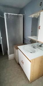 Location Appartement 1 pièce 21m² MAING 59233 - Photo 4