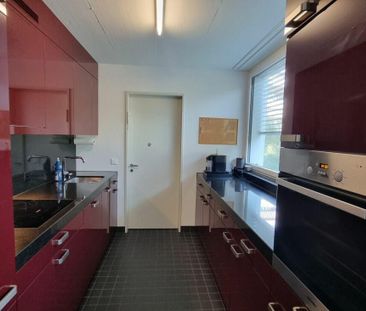 3.5 Zimmer Wohnung - Foto 2