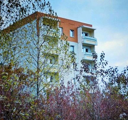 1-Raum-Eigenstumswohung in Weimar-Schöndorf zu vermieten - Foto 1